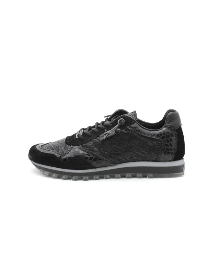 Sale L'Empreinte Chaussures CETTI C848 SRA ANTE TEJUS noir