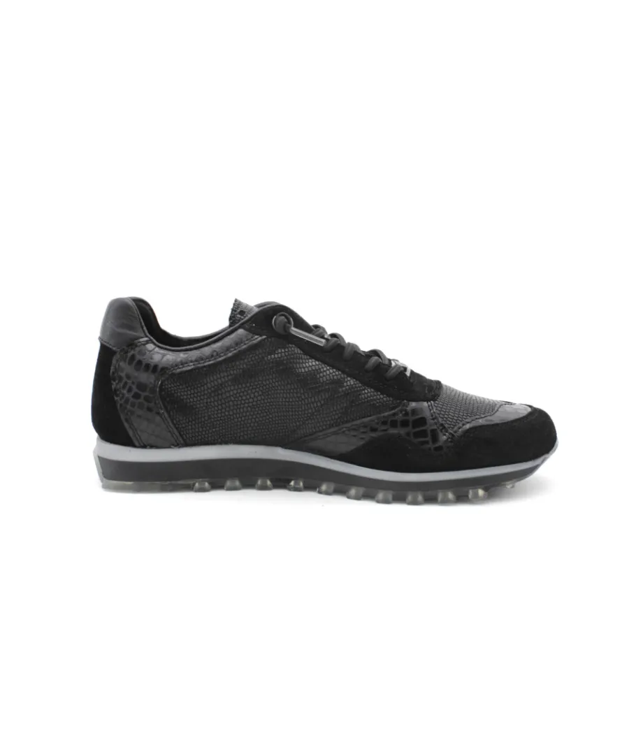 Sale L'Empreinte Chaussures CETTI C848 SRA ANTE TEJUS noir