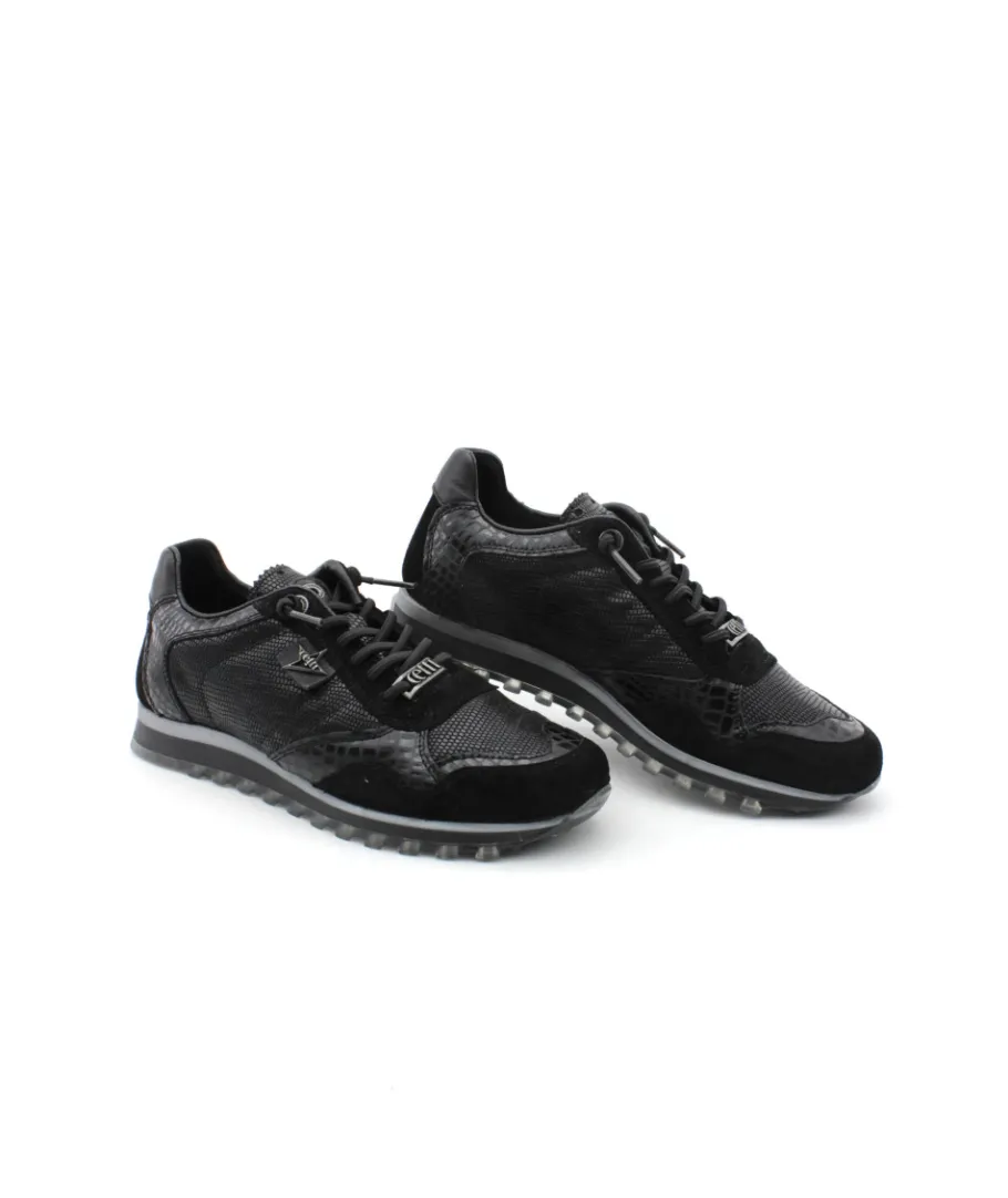 Sale L'Empreinte Chaussures CETTI C848 SRA ANTE TEJUS noir