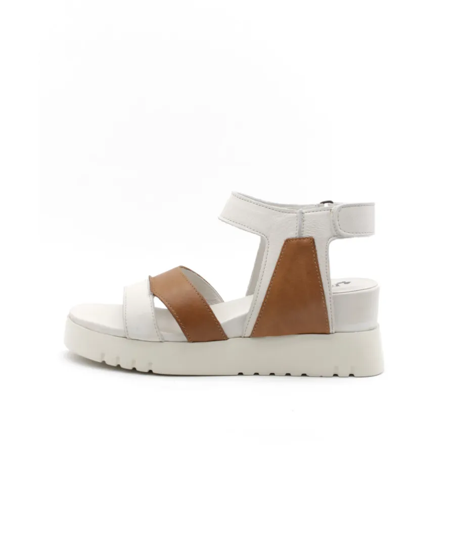 Shop L'Empreinte Chaussures FELMINI D837 CALF Cam/blanc