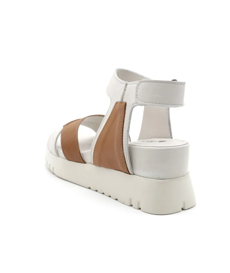 Shop L'Empreinte Chaussures FELMINI D837 CALF Cam/blanc