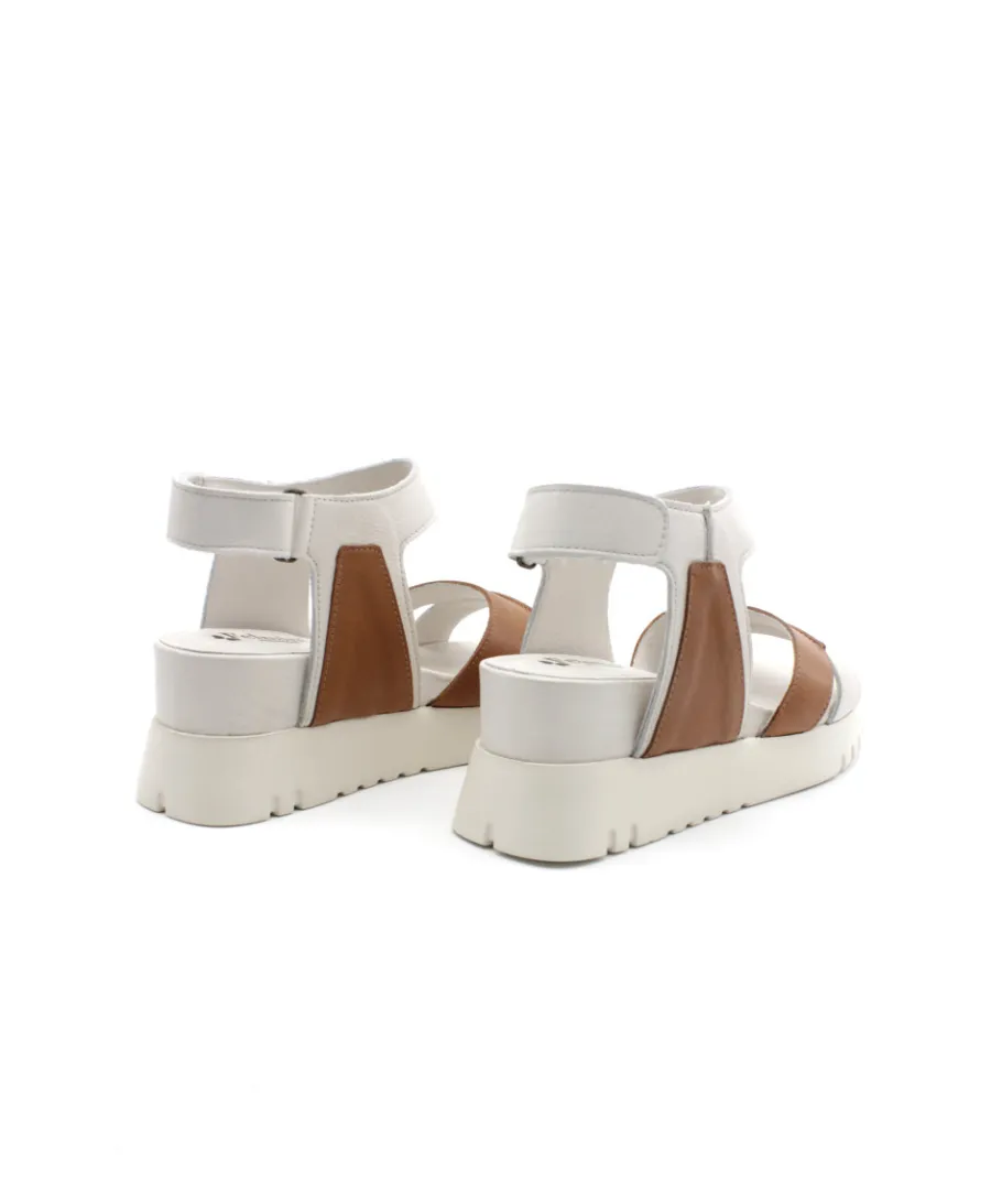 Shop L'Empreinte Chaussures FELMINI D837 CALF Cam/blanc