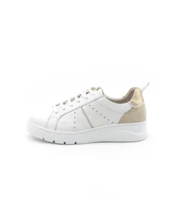 Store L'Empreinte Chaussures FLUCHOS FEMME F1665 POMPAS blanc