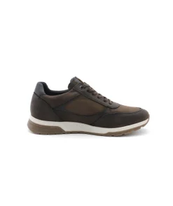 Cheap L'Empreinte Chaussures FLUCHOS F1603 LOUIS cafe
