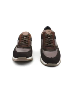 Fashion L'Empreinte Chaussures FLUCHOS F1959 LOUIS cafe