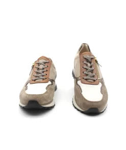 Fashion L'Empreinte Chaussures GABOR 56.378.55 taupe