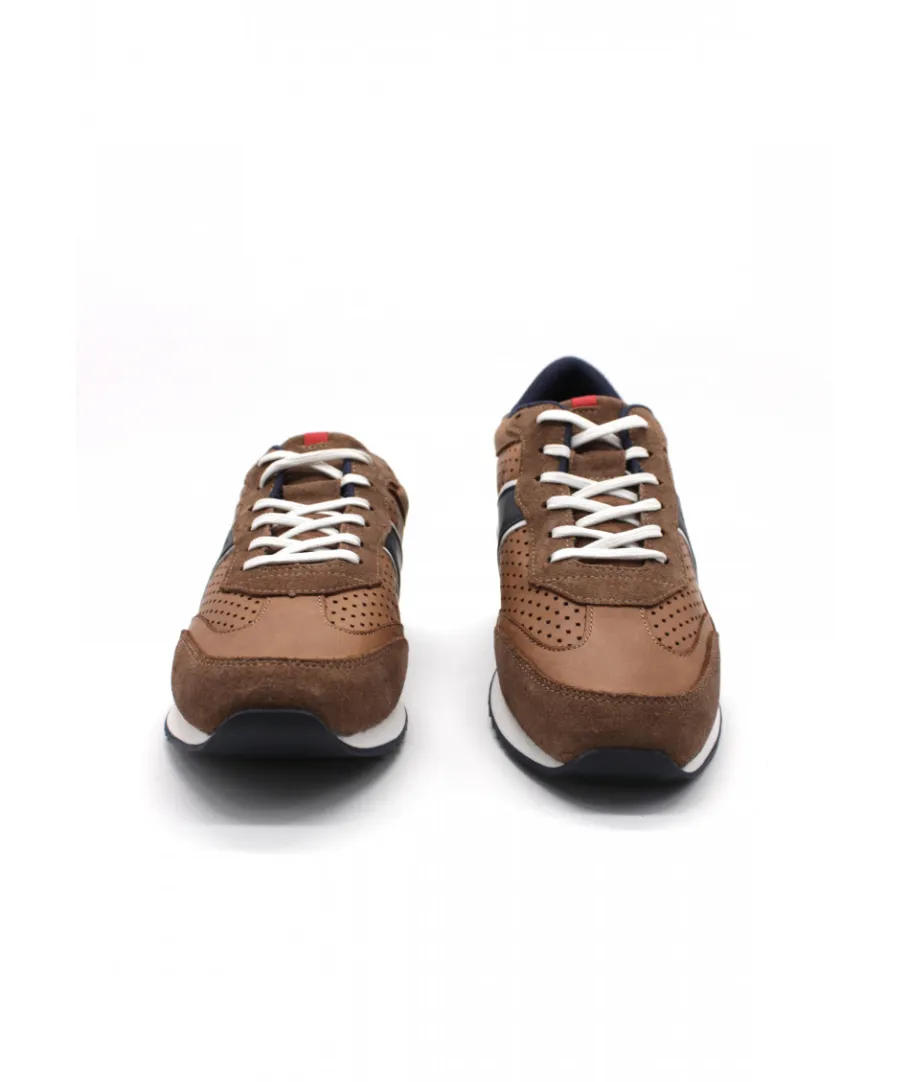 Shop L'Empreinte Chaussures LLOYD EARL marron