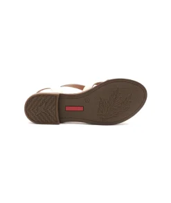 Best Sale L'Empreinte Chaussures PIKOLINOS ALGUAR W0X-5556C3 marron