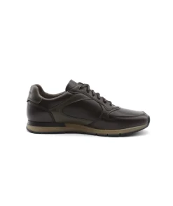 Best L'Empreinte Chaussures PIUS GABOR 1047.14.04 marron
