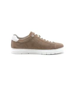Shop L'Empreinte Chaussures PIUS GABOR 1023.14.01 taupe