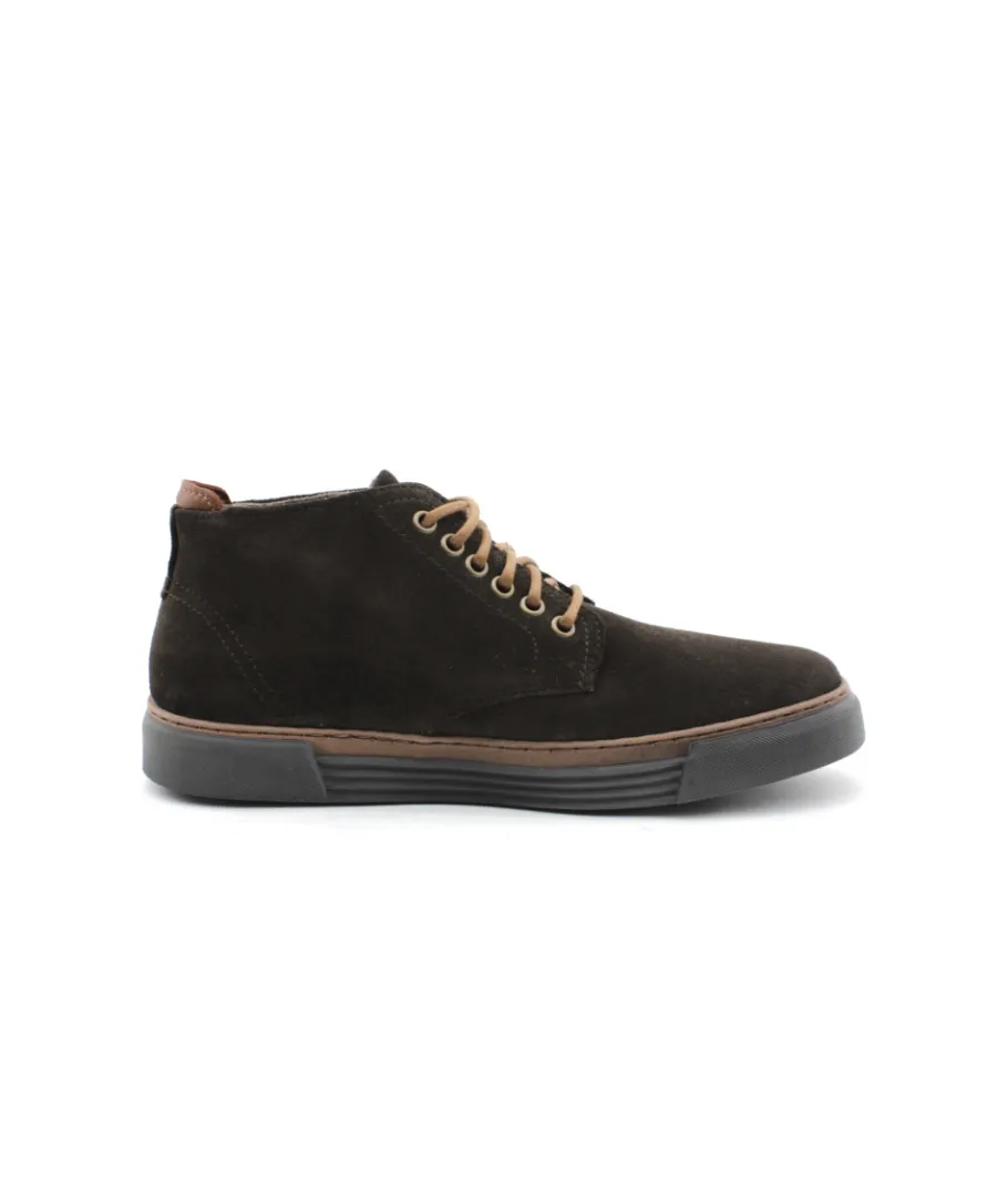 Discount L'Empreinte Chaussures PIUS GABOR 0460.11.14 marron
