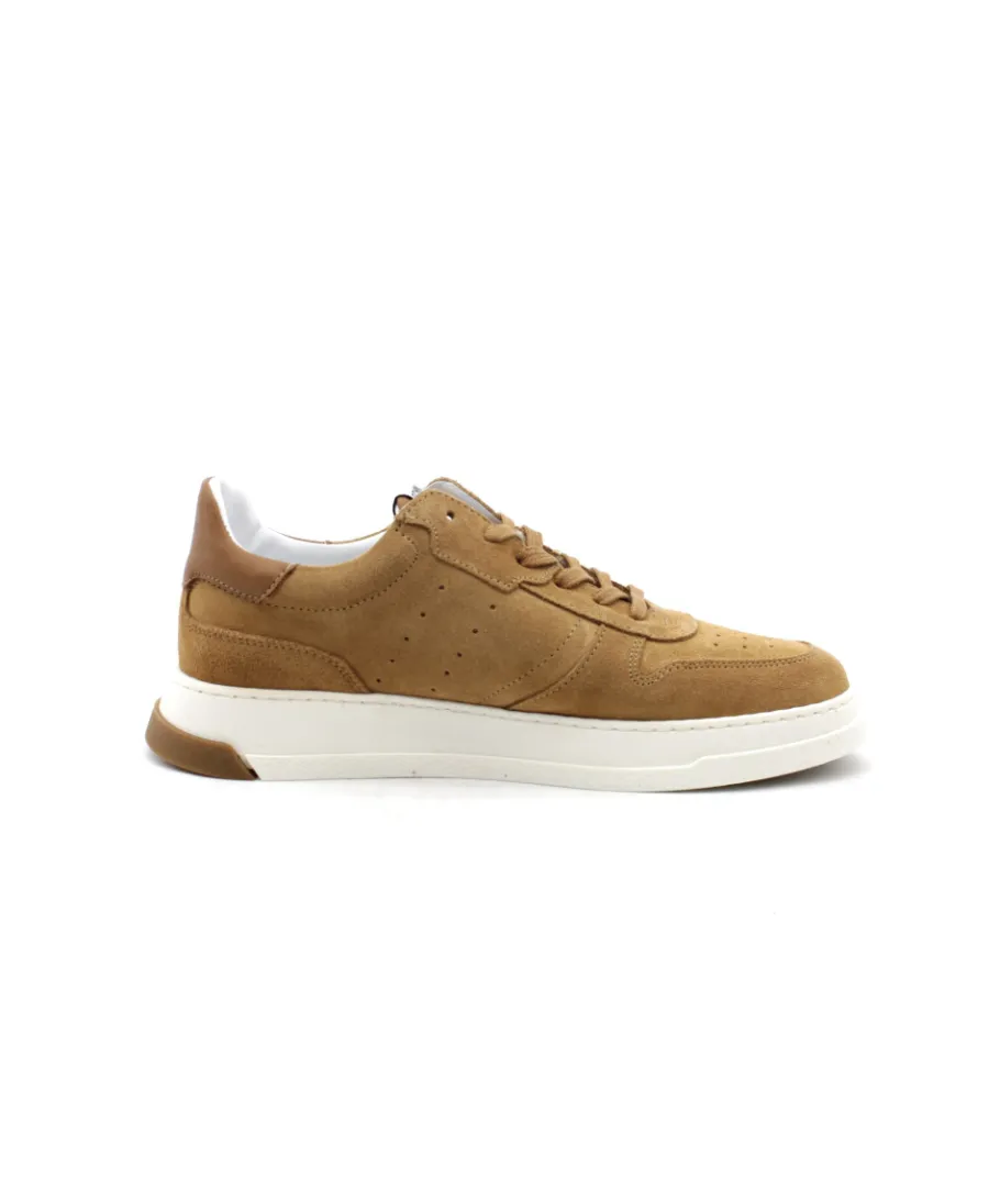 Store L'Empreinte Chaussures SCHMOOVE ORDER SNEAKER camel