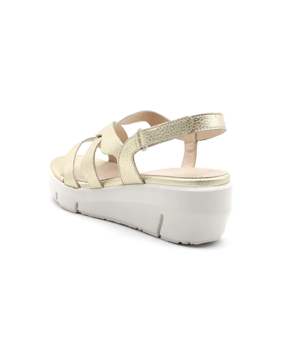 Shop L'Empreinte Chaussures WONDERS D8280 or